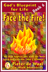 Face the Fire!